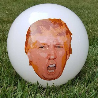 picture of Trump Ball on the lawn